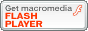 Plug-in Flash